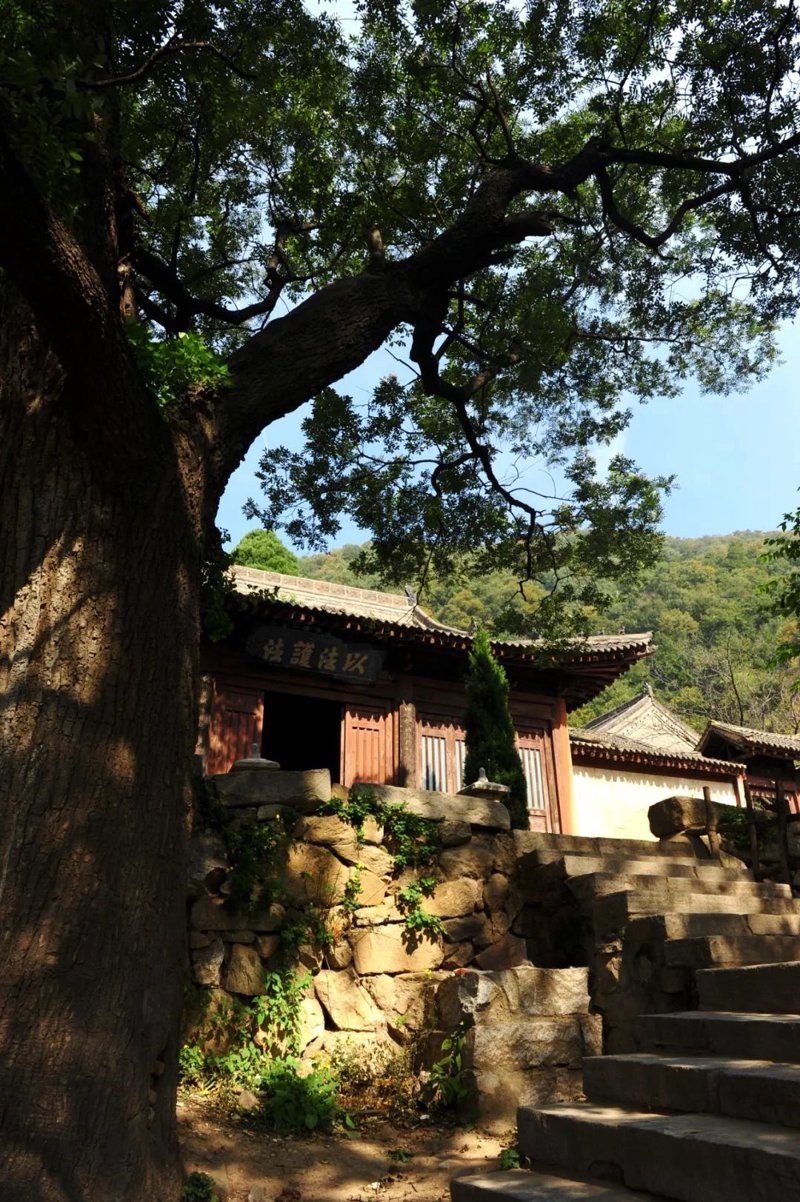 四川西充寺庙的文化魅力之旅